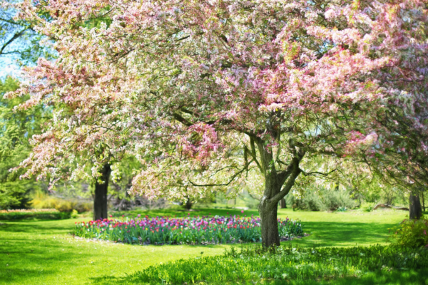 Spring is Coming—Time to Prepare Your Property!