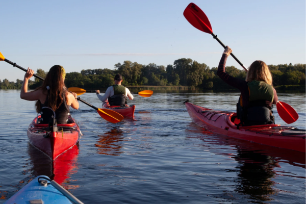 Outdoor Adventures: Hiking, Kayaking, and Beach Days in the Lowcountry
