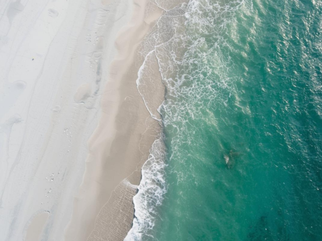 Fun Activities in Isle Of Palms, SC for All Ages