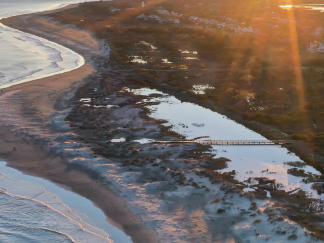 The Secret Side of Sullivan’s Island