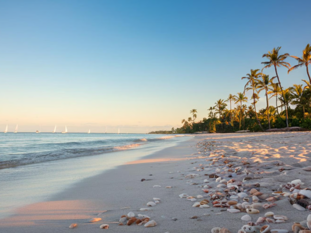 Fun Activities in Isle Of Palms, SC for All Ages