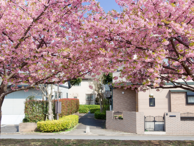 Spring in the Lowcountry: Preparing Your Home and Lifestyle for the Season Ahead